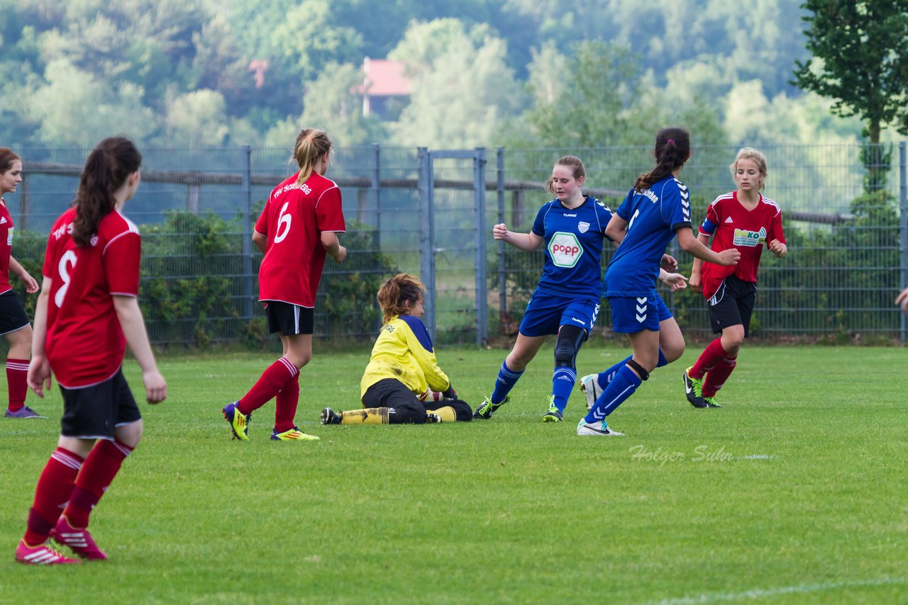 Bild 177 - B-Juniorinnen FSC Kaltenkirchen - TSV Schnberg : Ergebnis: 1:1